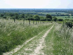 Bow Hill