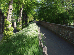Chichester City Walls